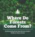 Where Do Forests Come From? Understanding Plant Reproduction Grade 5 Children's Nature Books