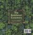 The Rainforest Ecosystem Kids' Earth Science Book Grade 4 Children's Environment Books