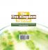 The Five Kingdom System Classifying Living Things Book of Science for Kids 5th Grade Children's Biology Books