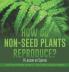 How Do Non-Seed Plants Reproduce? A Lesson on Spores | Life Cycle Books Grade 5 | Children's Biology Books