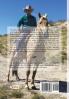 The Ghost of Crazy Horse