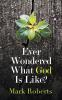 Ever Wondered What God Is Like?