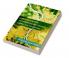 Understanding Transboundary Rivers Conflict and Cooperation