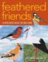 Feathered Friends-Print-on-Demand-Edition