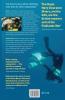 Diver