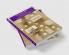 Strategic Guide to Shaping Your Student Affairs Career