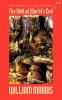 The Well at the World's End: Volume II: 2 (Wildside Fantasy)