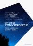 What Is Consciousness?