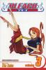 Bleach Volume 3