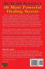 The Health Detective's 456 Most Powerful Healing Secrets