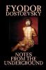 Notes from the Underground by Fyodor Mikhailovich Dostoevsky Fiction Classics Literary