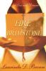 Fire & Brimstone: A Novel