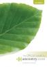 Official Guide to Ancestry.com 2nd edition