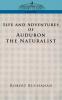 Life and Adventures of Audubon the Naturalist (Cosimo Classics Biography)