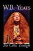 The Celtic Twilight by W.B.Yeats Fiction Fantasy Literary Fairy Tales Folk Tales Legends & Mythology