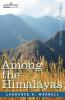 Among the Himalayas