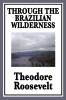 Through the Brazilian Wilderness: Or My Voyage Along the River of Doubt