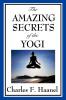 The Amazing Secrets of the Yogi