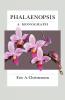 Phalaenopsis