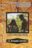Taste: An Erotic Fantasy Series Book I