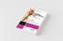 Building a Marketing Plan