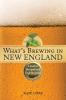 What's Brewing in New England