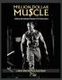 Million Dollar Muscle