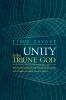 Unity in the Triune God: Trinitarian Theology in the Full-Communion Agreements of the Evangelical Lutheran Church in America