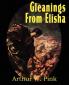 Gleanings from Elisha His Life and Miracles
