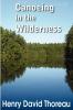 Canoeing in the Wilderness