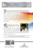 The Illuminator: Access to Universal Intelligence