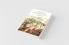 The Art of Building Cities