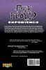 Rock and Roll Comics: The Pink Floyd Experience (Rock N Roll Comics)