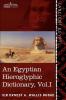 An Egyptian Hieroglyphic Dictionary (in Two Volumes) Vol.I: With an Index of English Words King List and Geographical List with Indexes List of Hi: 1