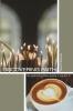Discovering Faith: 2 (Gathering Place)