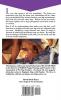 Dog Behavior