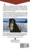 Bernese Mountain Dog
