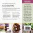 Essential Oils Natural Remedies