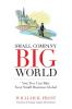 Small Company. Big World.: You Too Can Take Your Small Business Global