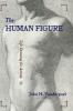 The Human Figure