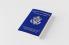 The U.S. Constitution
