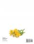 Home Remedies