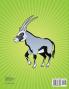 Wild Animals Coloring Book