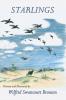 Starlings