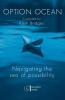 Option Ocean