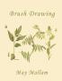 Brush Drawing as Applied to Natural Forms and Common Objects (Yesterday's Classics)
