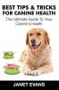 Best Tips & Tricks for Canine Health: The Ultimate Guide to Your Canine's Health