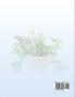 Detox Cleanse Starts with the Colon Cleanse: A Complete Colon Health Guide (Large Print): Simple Steps to Colon Cleansing
