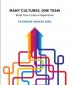 Many Cultures One Team: Build Your Cultural Repertoire