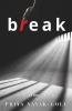 Break... : A Thriller Romance Novel